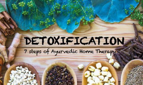 7 Steps of Detoxification According to Ayurvedic Home Shamana Therapy |  Everest Ayurveda